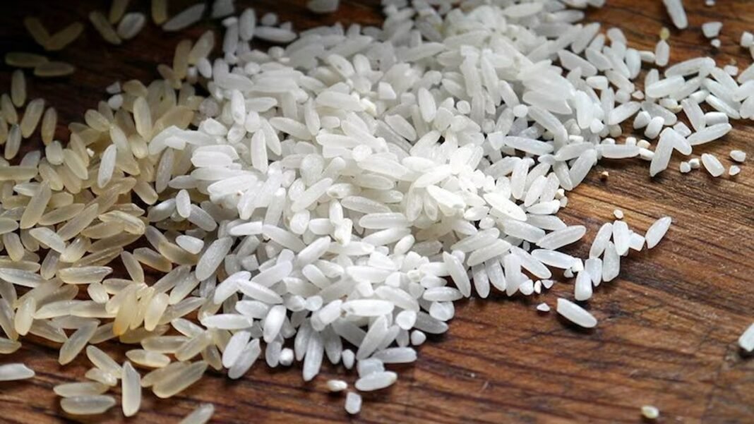 Government's Rice Procurement Reaches 52.06 MT, Pays Rs 1.6 Trn MSP