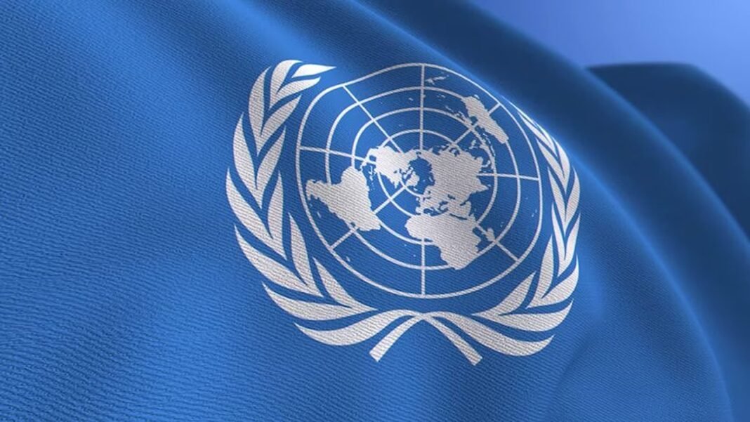 India should be a permanent member of the UN Security Council: Rajnath Singh