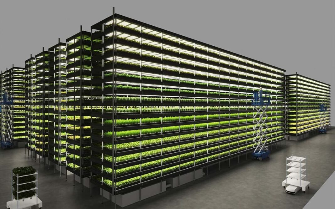 The Rise of Vertical Farming: Revolutionizing Agriculture for a Sustainable Future